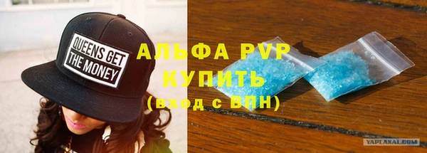 прущие грибы Заводоуковск