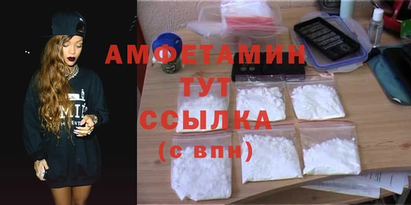 прущие грибы Заводоуковск