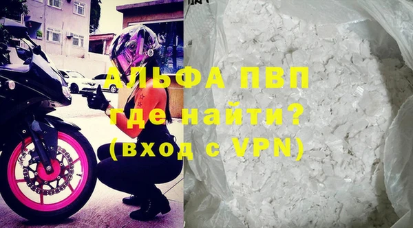 прущие грибы Киренск