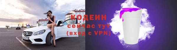 прущие грибы Заводоуковск