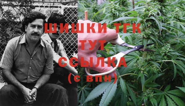 MESCALINE Заволжье