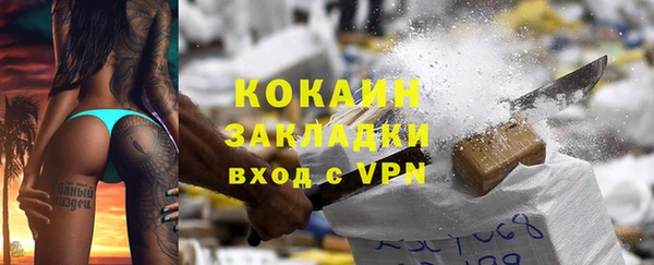 прущие грибы Заводоуковск