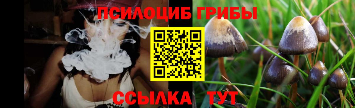 Псилоцибиновые грибы GOLDEN TEACHER Кинель